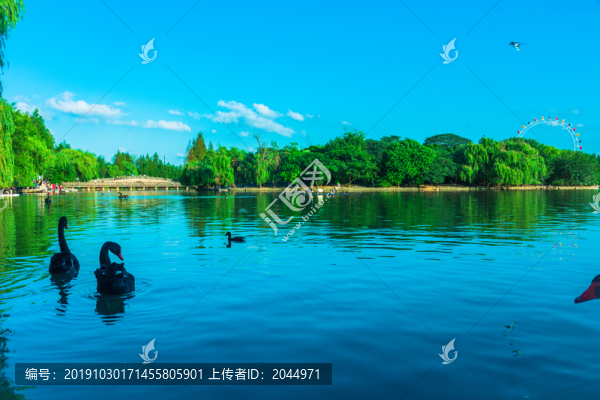 天鵝湖