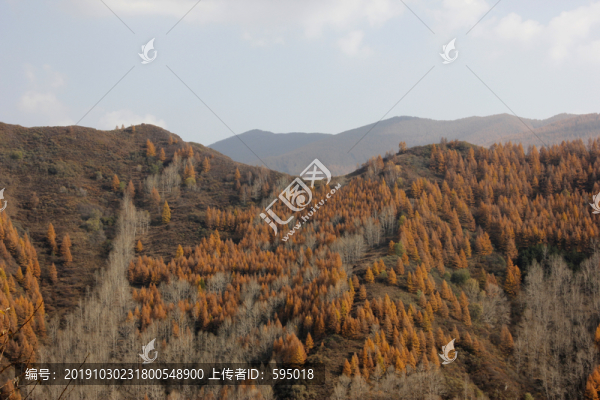 五臺(tái)山