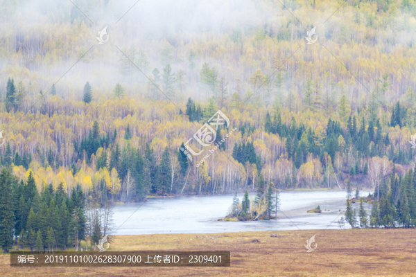 喀納斯秋景
