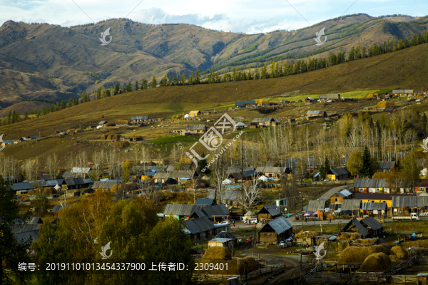 白哈巴秋景