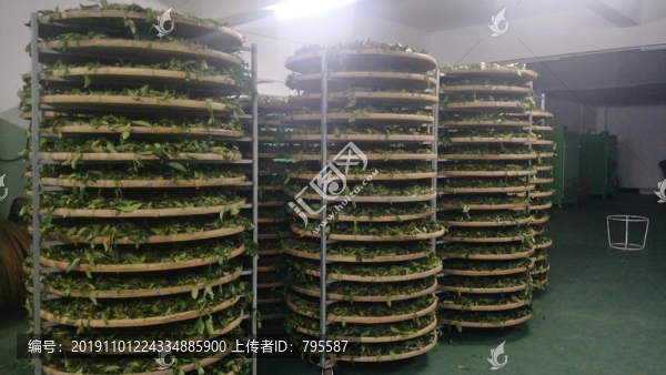 茶廠1