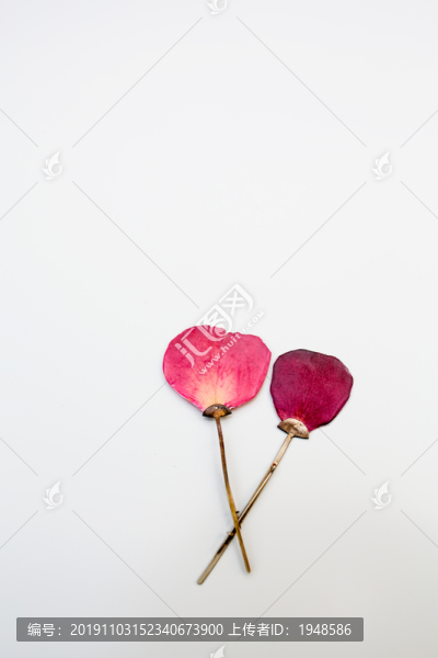 仿花瓣黃金胸針