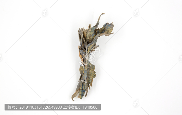 樹葉黃金胸針