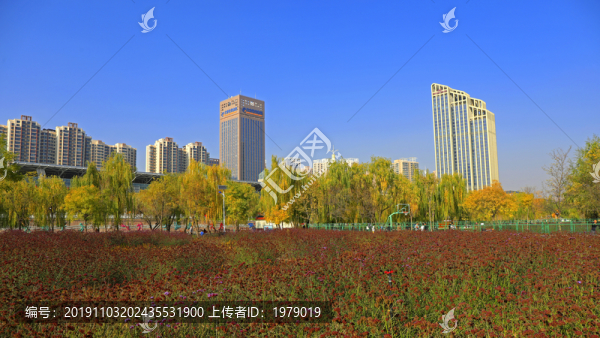 黃河之濱真的很美