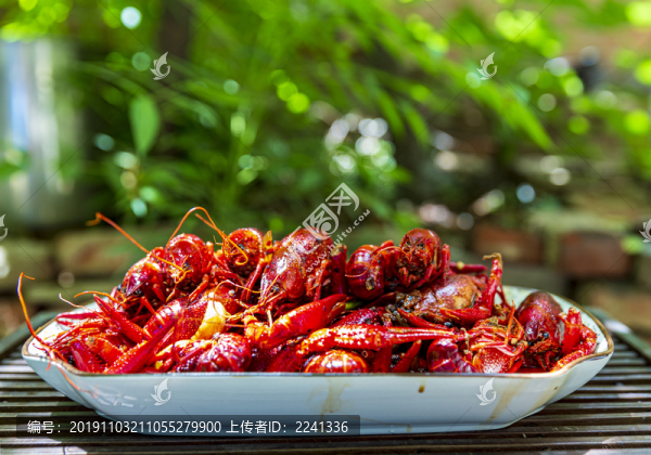 小龍蝦素材