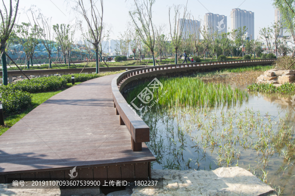 公園木棧道