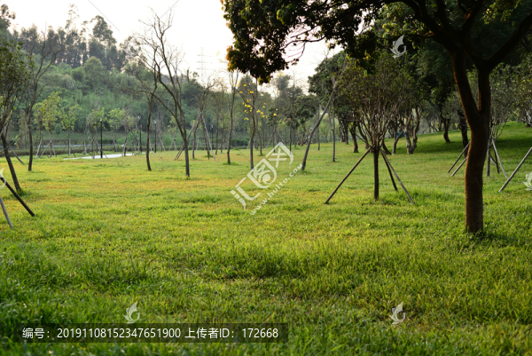 公園綠化