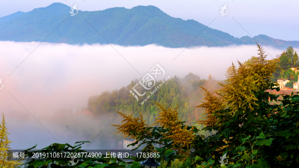 白云悠悠