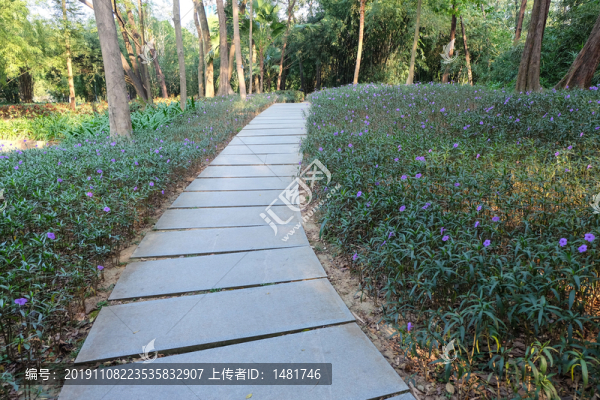 園林道路