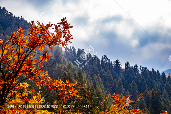 興隆山秋色