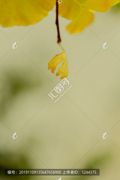 葉06