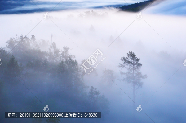 霧