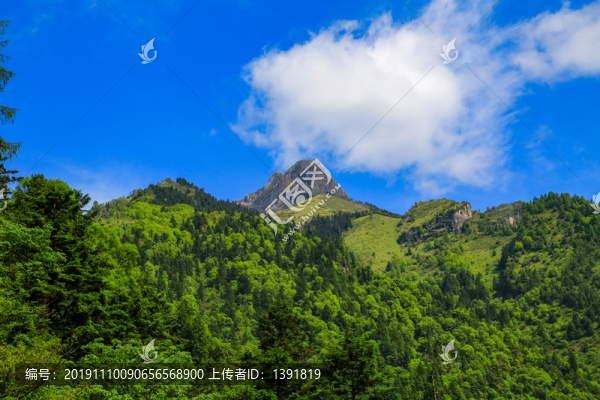 宕昌官鵝溝景區(qū)鵝嫚溝