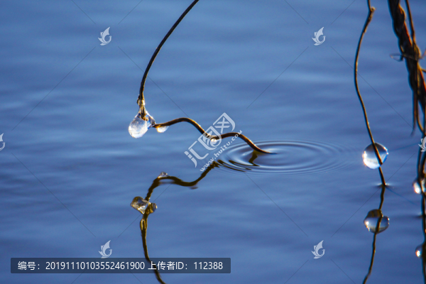 冰凌初冬創(chuàng)意小草水滴