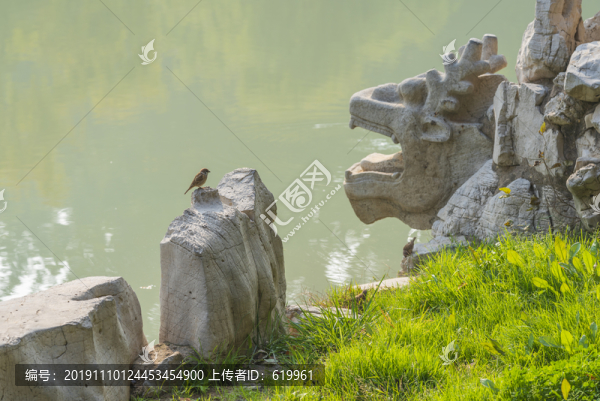 一只麻雀停在公園石頭上