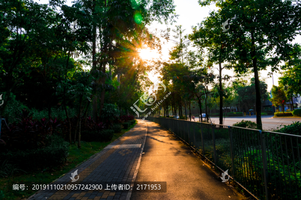 陽光