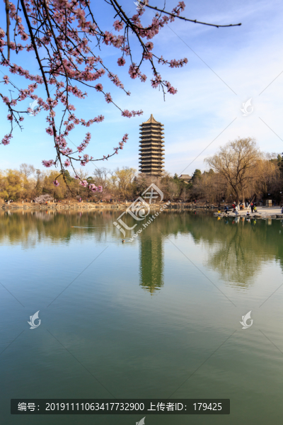 北大校園春色未名湖博雅塔桃花