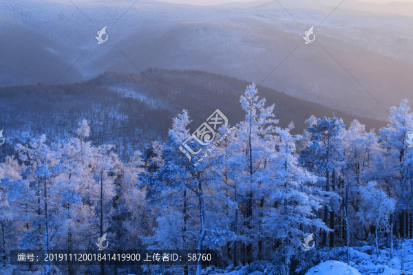大興安嶺雪林霧凇
