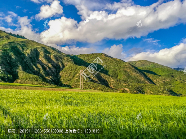 甘南迭部縣城田園風(fēng)光