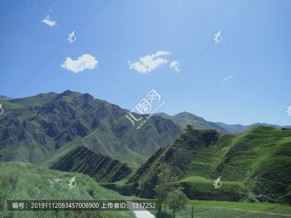 山