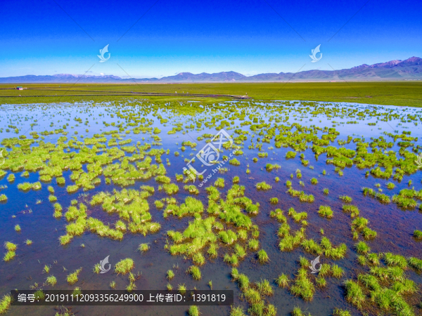 航拍阿壩若爾蓋花湖風(fēng)景區(qū)