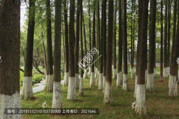 南園小景