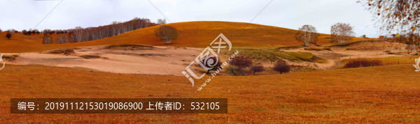 烏蘭布統(tǒng)金色草原大片