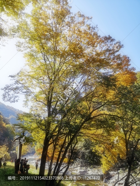 光霧山