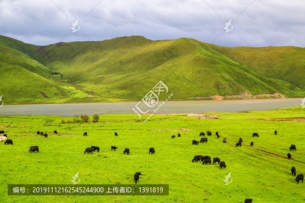 果洛久治草原風(fēng)光