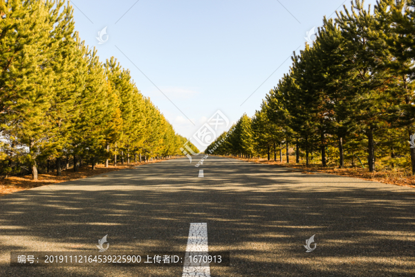 內(nèi)蒙道路