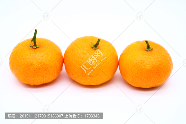 砂糖桔