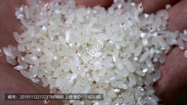 長粒香大米