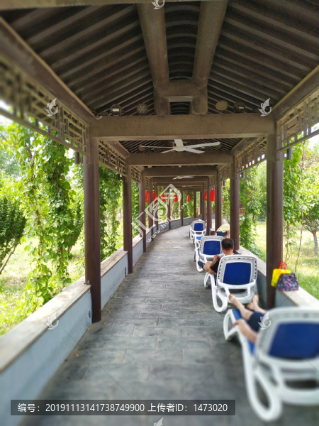 公園長廊
