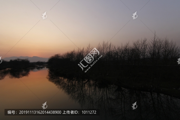 樹林
