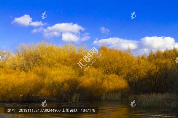 長(zhǎng)春凈月公園