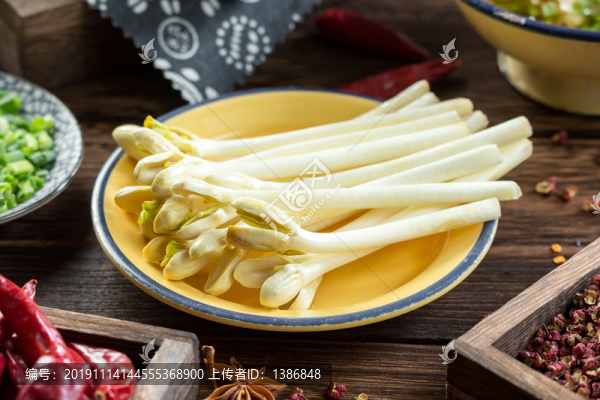花生芽