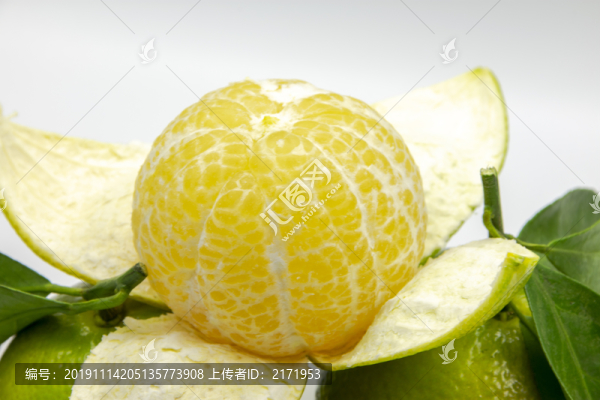 皇帝柑