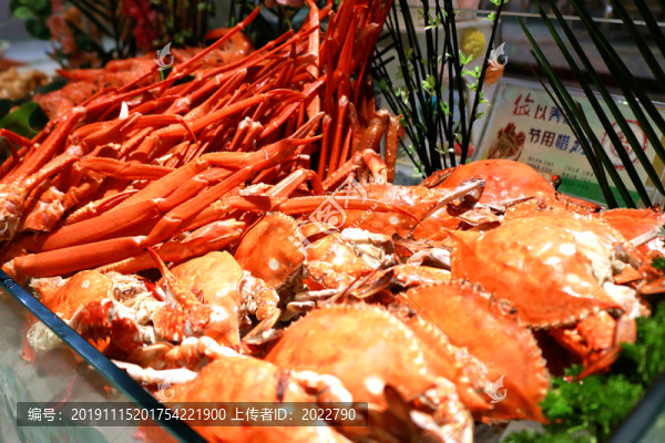 梭子蟹帝王蟹腳
