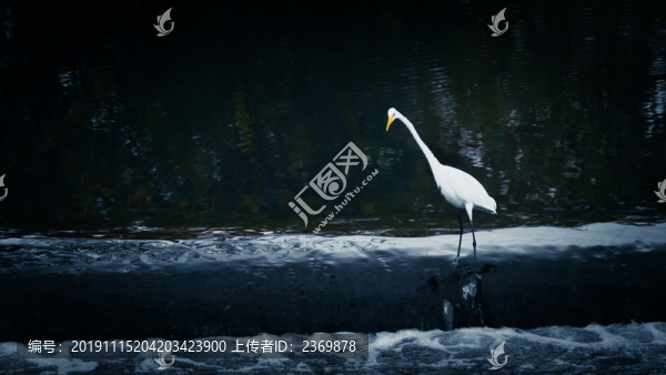 守堤待魚