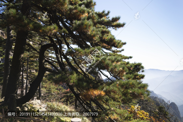 登黃山天下無山