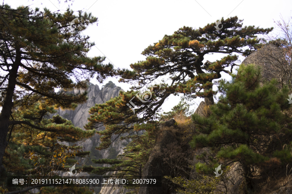 登黃山天下無山