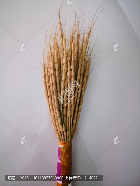 節(jié)節(jié)麥