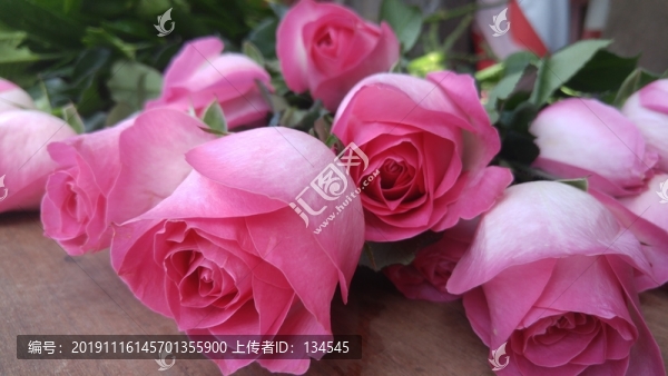 玫瑰花