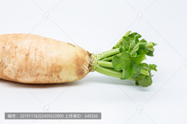 蘿卜