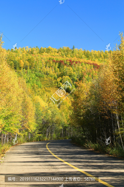 金秋彩林山路