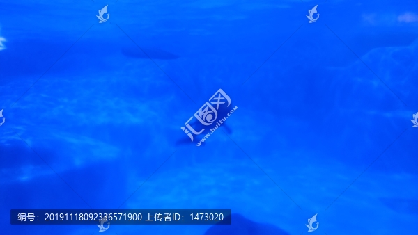 蓬萊極地海洋世界
