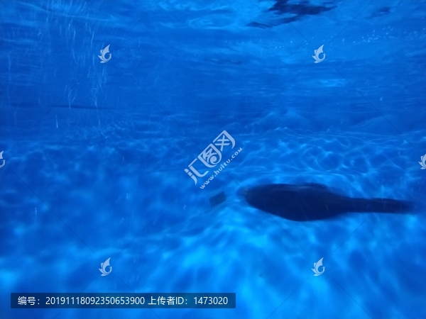 蓬萊極地海洋世界