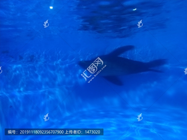蓬萊極地海洋世界