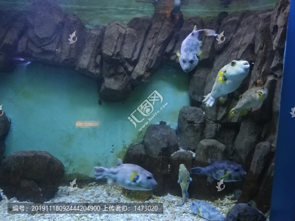 蓬萊極地海洋世界