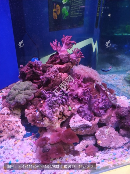 蓬萊極地海洋世界